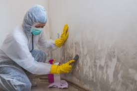 Best Black Mold Removal  in Thermalito, CA